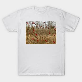 Minnesota Sumac T-Shirt